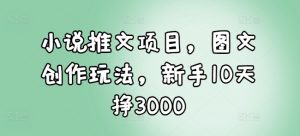 小说推文项目，图文创作玩法，新手10天挣3000-优品网赚资源库