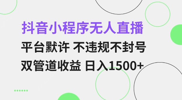 抖音小程序无人直播 平台默许 不违规不封号 双管道收益 日入多张 小白也能轻松操作【仅揭秘】-优品网赚资源库