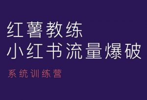 红薯教练-小红书内容运营课,小红书运营学习终点站-优品网赚资源库