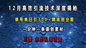 最新高效引流技术深度揭秘 ，单号单日引300+精准创业粉，一分钟一条原创素材，引爆你的私域流量-优品网赚资源库