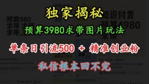 预算3980求带 图片玩法，单条日引流500+精准创业粉，私信根本回不完-优品网赚资源库