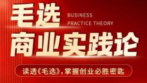 毛选商业实践论，读透《毛选》掌握创业必胜密匙-优品网赚资源库