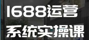 1688高阶运营系统实操课，快速掌握1688店铺运营的核心玩法-优品网赚资源库