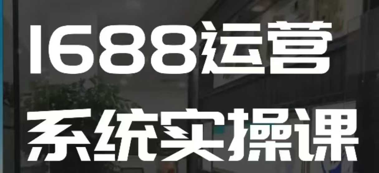 1688高阶运营系统实操课，快速掌握1688店铺运营的核心玩法-优品网赚资源库