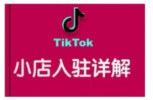 TikTok跨境小店运营全攻略,帮助你独立运营TK跨境小店的能力,实现销量增长-优品网赚资源库