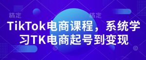 TikTok电商课程，​系统学习TK电商起号到变现-优品网赚资源库