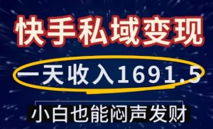 一天收入1691.5,快手私域变现,小白也能闷声发财-优品网赚资源库