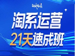 淘系运营21天速成班35期，年前最后一波和2025方向-优品网赚资源库