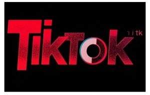 TikTok ads投流秘籍,涵盖tiktok整体投放思路,教你搭建测试计划-优品网赚资源库