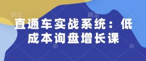 直通车实战系统：低成本询盘增长课，让个人通过技能实现升职加薪，让企业低成本获客，订单源源不断-优品网赚资源库