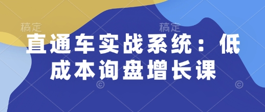 直通车实战系统：低成本询盘增长课，让个人通过技能实现升职加薪，让企业低成本获客，订单源源不断-优品网赚资源库