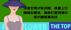 顶流女性IP实战班,流量上亿情绪引爆法,深度打磨顶流女性IP硬核基本功-优品网赚资源库
