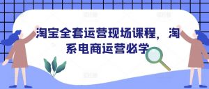 淘宝全套运营现场课程,淘系电商运营必学-优品网赚资源库