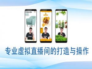 个人虚拟直播间的搭建与操作,专业虚拟直播间的打造与操作-优品网赚资源库