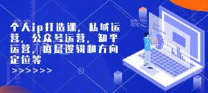 个人ip打造课,私域运营,公众号运营,知乎运营,底层逻辑和方向定位等-优品网赚资源库