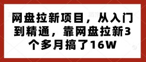 网盘拉新项目,从入门到精通,靠网盘拉新3个多月搞了16W-优品网赚资源库