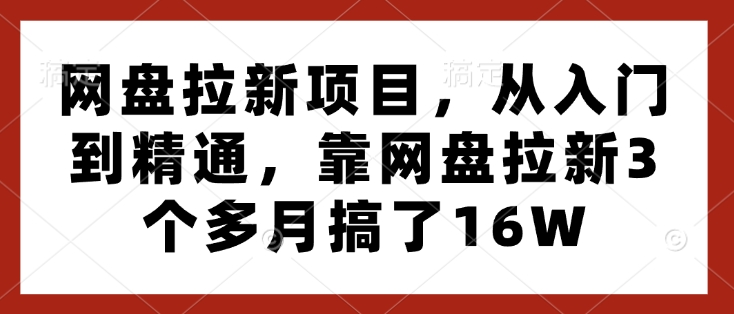 网盘拉新项目,从入门到精通,靠网盘拉新3个多月搞了16W-优品网赚资源库