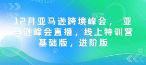 12月亚马逊跨境峰会， 亚马逊峰会直播，线上特训营基础版，进阶版-优品网赚资源库
