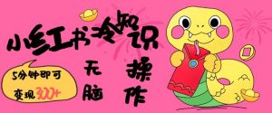 小红书冷知识账号,无脑复制粘贴,5分钟即可变现3张-优品网赚资源库