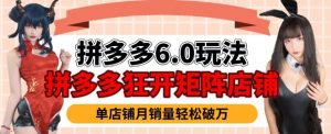 拼多多虚拟商品暴利6.0玩法，轻松实现月入过W-优品网赚资源库