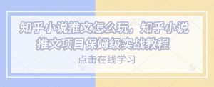 知乎小说推文怎么玩，知乎小说推文项目保姆级实战教程-优品网赚资源库