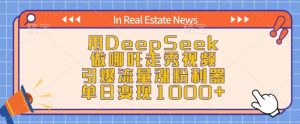用DeepSeek做哪吒走秀视频,引爆流量涨粉利器,单日变现1k-优品网赚资源库