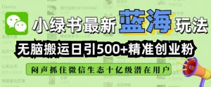 小绿书无脑搬运引流,全自动日引500精准创业粉,微信生态内又一个闷声发财的机会-优品网赚资源库
