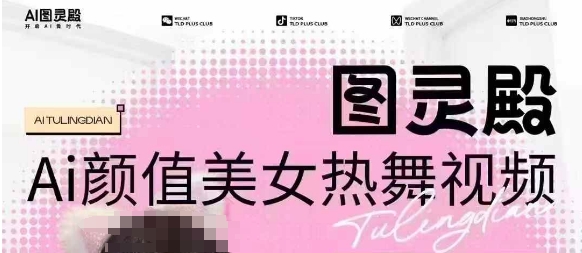 全网首发，原价988图灵殿AI颜值美女热舞视频，云端生图，轻松过原创-优品网赚资源库