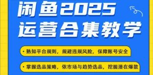 2025闲鱼电商运营全集,2025最新咸鱼玩法-优品网赚资源库