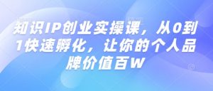 知识IP创业实操课,从0到1快速孵化,让你的个人品牌价值百W-优品网赚资源库