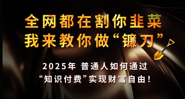 全网都在割你韭菜，我来教你做镰刀，2025年普通人如何通过 知识付费 实现财F自由【揭秘】-优品网赚资源库