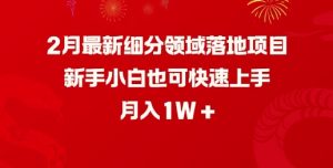2月最新细分领域落地项目，新手小白也可快速上手，月入1W-优品网赚资源库