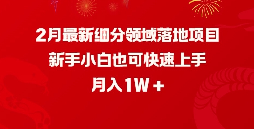 2月最新细分领域落地项目，新手小白也可快速上手，月入1W-优品网赚资源库
