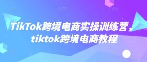 TikTok跨境电商实操训练营，tiktok跨境电商教程-优品网赚资源库