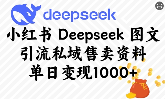 小红书Deepseek图文引流私域售卖资料，单日变现多张-优品网赚资源库