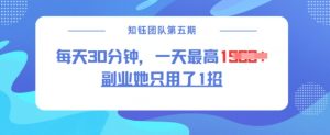 副业她只用了1招,每天30分钟,无脑二创,一天最高1.5k-优品网赚资源库