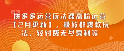 拼多多运营玩法课高阶运营【2月更新】，极致群爆款玩法，轻付费无尽复制等-优品网赚资源库