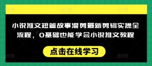 小说推文短篇故事混剪最新剪辑实操全流程，0基础也能学会小说推文教程，肯干多发日入多张-优品网赚资源库