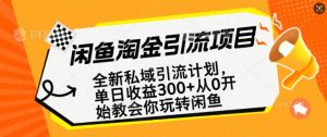 闲鱼淘金私域引流计划，从0开始玩转闲鱼，副业也可以挣到全职的工资-优品网赚资源库