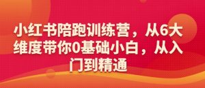 小红书陪跑训练营,从6大维度带你0基础小白,从入门到精通-优品网赚资源库