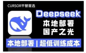 2025年deepseek R1 大型模型本地安装部署(文件+教程)本地部署，超低训练成本-优品网赚资源库