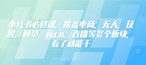 小红书必修课,覆盖电商,无人,获客,种草,mcn,直播等多个板块,看了就能干-优品网赚资源库