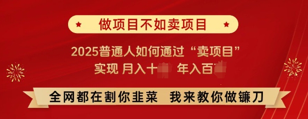 必看，做项目不如卖项目，2025普通人如何通过“卖项目”实现月入十个，年入百个-优品网赚资源库