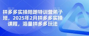 拼多多实操陪跑特训营弟子班,2025年2月拼多多实操课程,海量拼多多玩法-优品网赚资源库