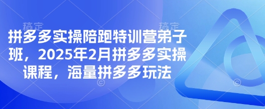 拼多多实操陪跑特训营弟子班,2025年2月拼多多实操课程,海量拼多多玩法-优品网赚资源库