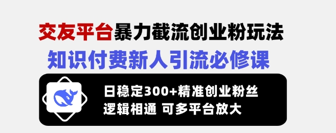 交友平台暴力截流创业粉玩法，知识付费新人引流必修课，日稳定300+精准创业粉丝，逻辑相通可多平台放大-优品网赚资源库