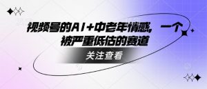 视频号的AI+中老年情感，一个被严重低估的赛道-优品网赚资源库