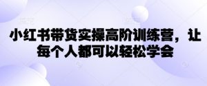 小红书带货实操高阶训练营，让每个人都可以轻松学会-优品网赚资源库