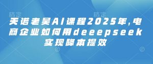 天诺老吴AI课程2025年，电商企业如何用deeepseek实现降本提效-优品网赚资源库