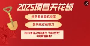 2025项目天花板普通人如何通过知识付费,实现财F自由【揭秘】-优品网赚资源库